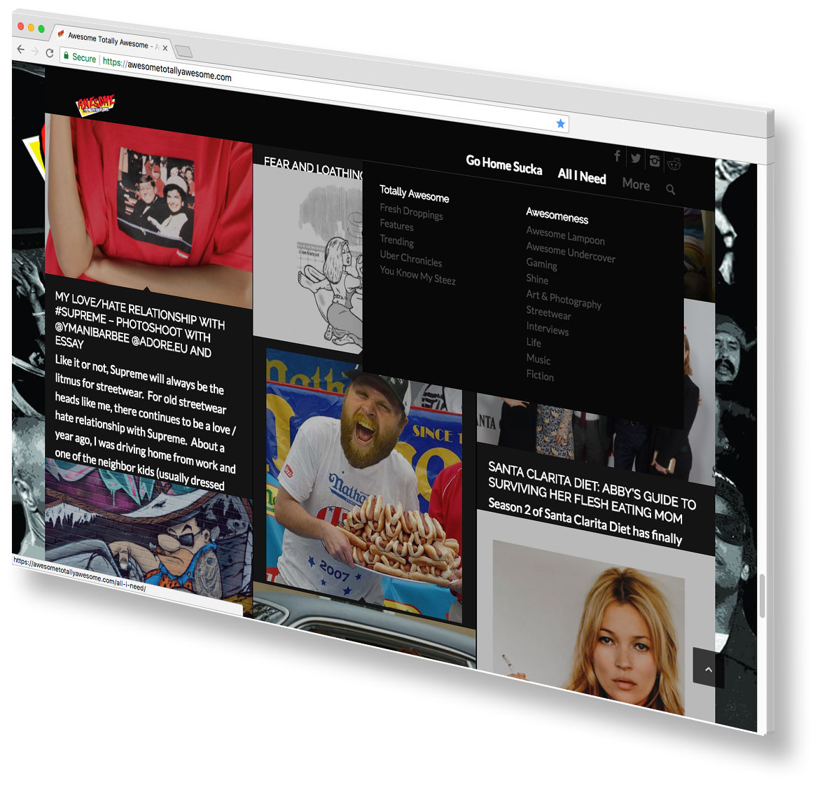AwesomeTotallyAwesome Website